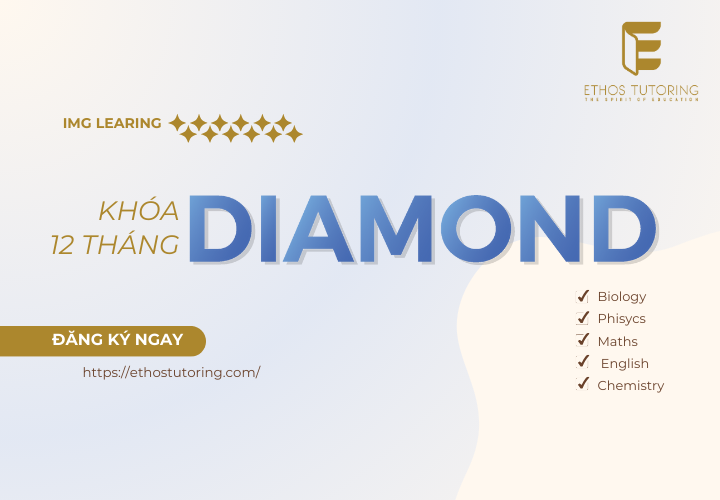 Khóa học 12 tháng Diamond